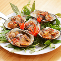 Sò Lông